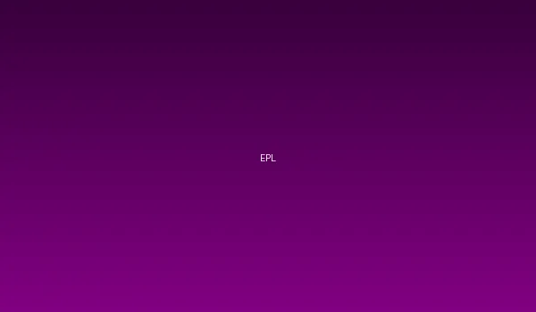 kaiyun体育与英超联赛官方合作